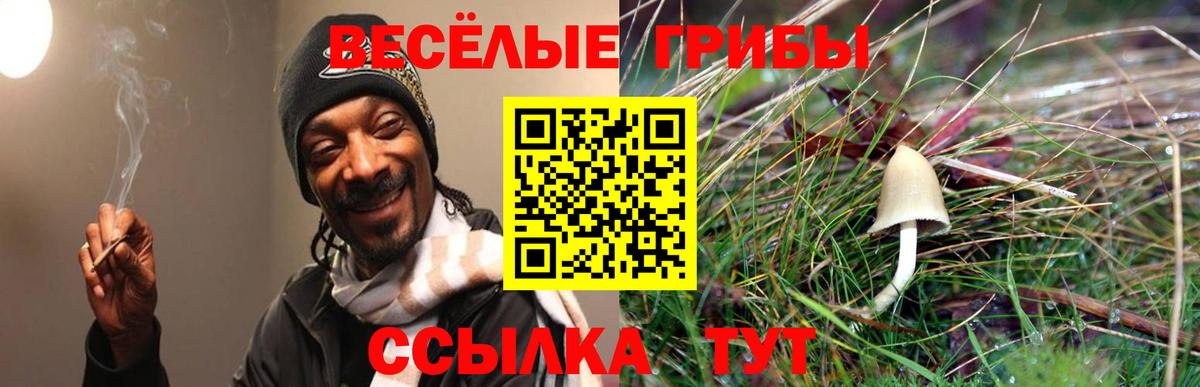 Галлюциногенные грибы Psilocybine cubensis  Вход с VPN  Нововоронеж  Псилоцибиновые грибы Cubensis 