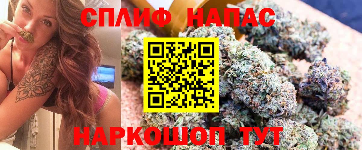 Марихуана семена  Вход с VPN  Нововоронеж  Шишки марихуана MAZAR  Каннабис гибрид  Бошки марихуана марихуана 